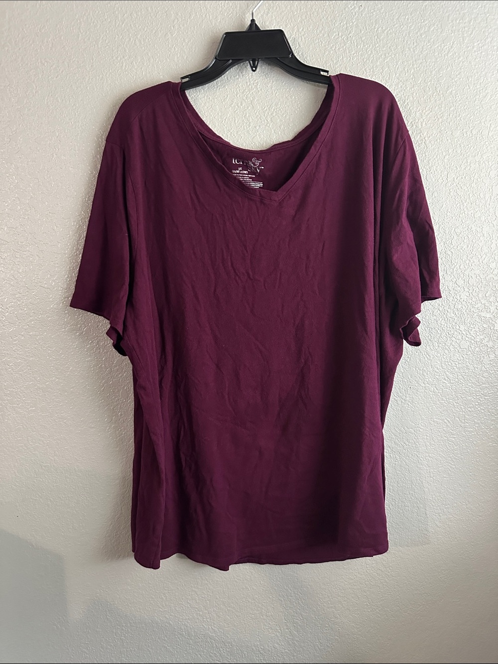 Terra & Sky V-Neck Short Sleeve Top - Plum